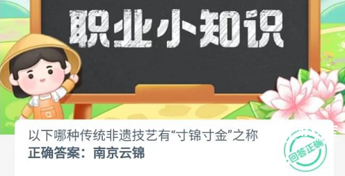 哪种传统非遗技艺有寸锦寸金之称