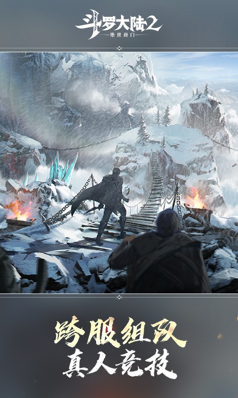 斗罗大陆2绝世唐门vivo版截图3