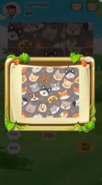 宠物乐拼图截图1