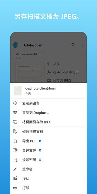 Adobe Scan截图5