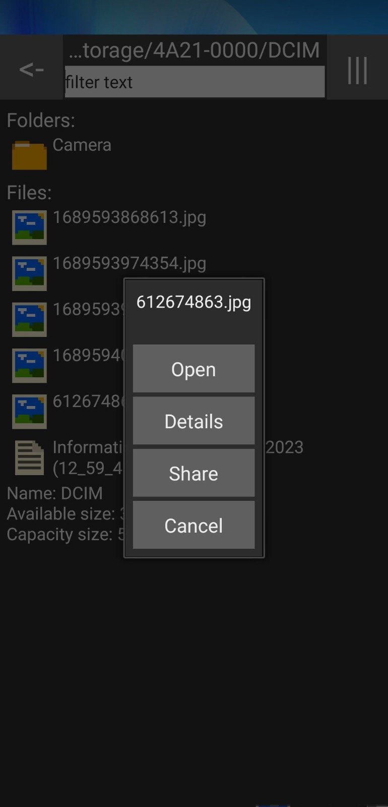Little File Explorer截图1