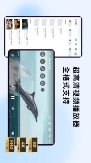 mxplayer专业版截图5