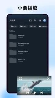 mxplayer专业版截图1