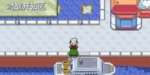 口袋妖怪究极绿宝石随机版