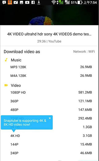 youtube视频下载器