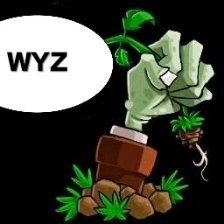 植物大战僵尸WYZ支线版