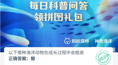 哪种海洋动物在成长过程中会蜕皮