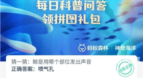 猜一猜鲸是用哪个部位发出声音