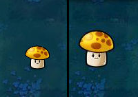 植物大战僵尸北美汉化版