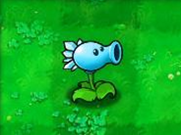 植物大战僵尸北美汉化版