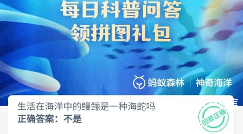 生活在海洋中的鳗鲡是一种海蛇吗