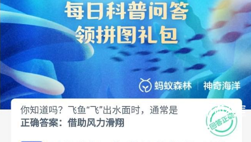 你知道吗飞鱼飞出水面时通常是怎么飞的