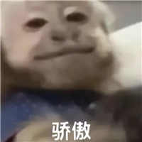 去年超神的安卓顶配，果然又神了�
！