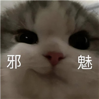 去年超神的安卓顶配，果然又神了	！