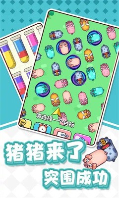 猪了个猪吖截图4