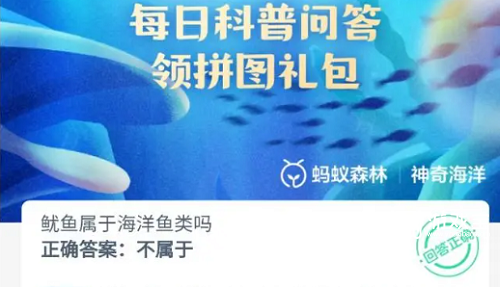 鱿鱼属于海洋鱼类吗