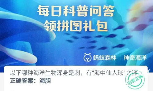 哪种海洋生物浑身是刺被人们称为海中仙人球