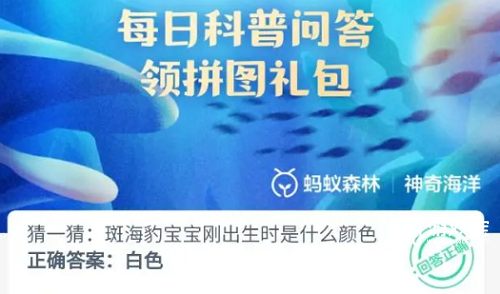 猜一猜斑海豹宝宝刚出生时是什么颜色