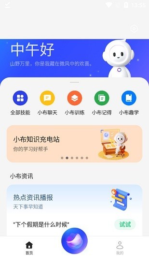 小布大模型截图2