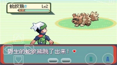 神奇宝贝绿宝石截图4