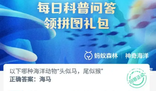 哪种海洋动物头似马尾似猴