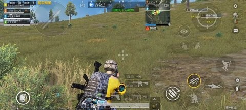 Ray容器直装截图1