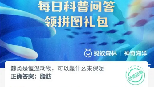 鲸类是恒温动物可以靠什么来保暖