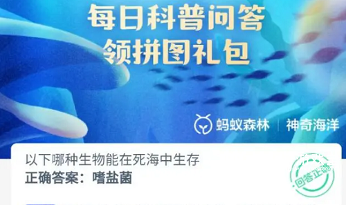 哪种生物能在死海中生存