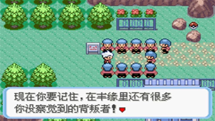 口袋妖怪蛇纹木截图5