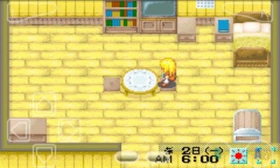 牧场物语女孩版截图4