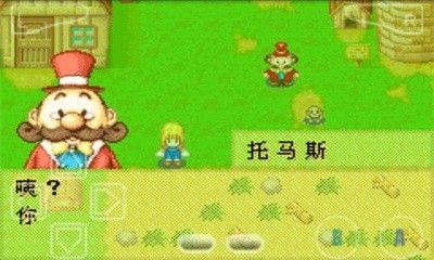 牧场物语女孩版截图1