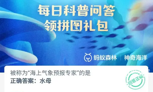 被称为海上气象预报专家的是什么