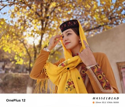 一部,即全部,十年超越之作一加12售价4299元起