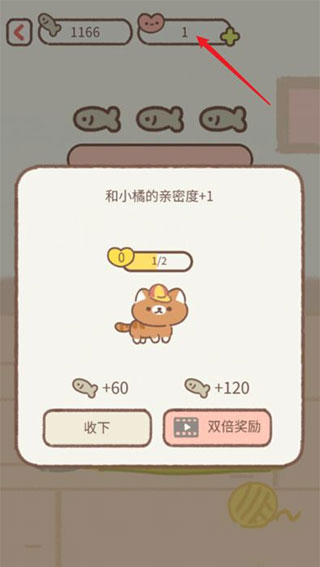 遇见你的猫国际服