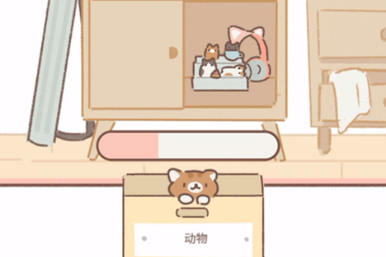 遇见你的猫国际服