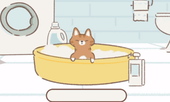 遇见你的猫国际服