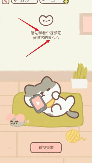 遇见你的猫国际服