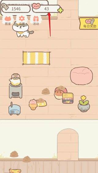 遇见你的猫国际服