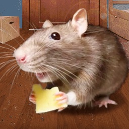 鼠鼠我呀