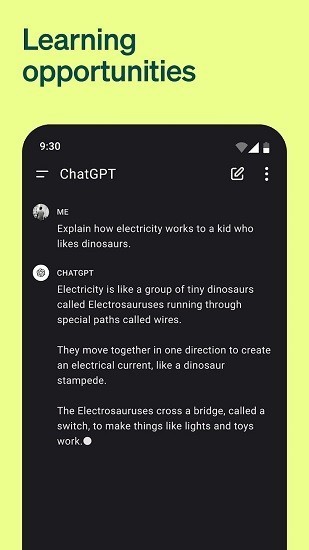 Open Chat GPT截图5
