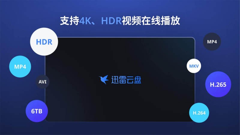 迅雷云盘TV版截图1