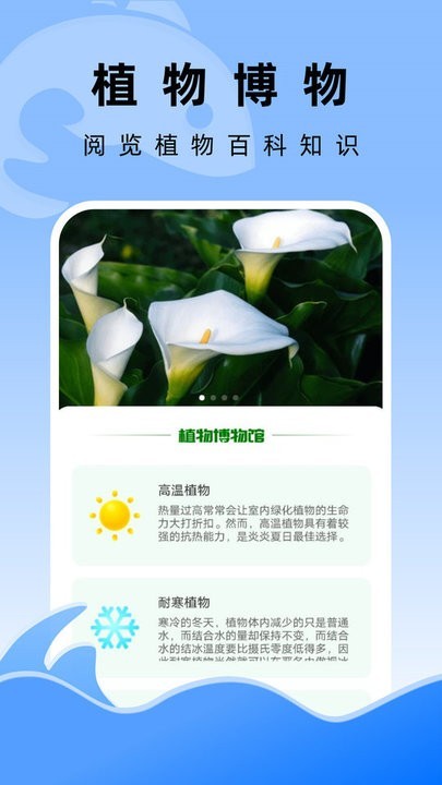 飞鱼文件管家截图3