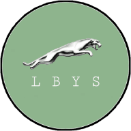 猎豹影视在线观看电视剧