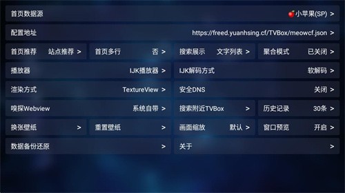 TVBox电视版本截图2
