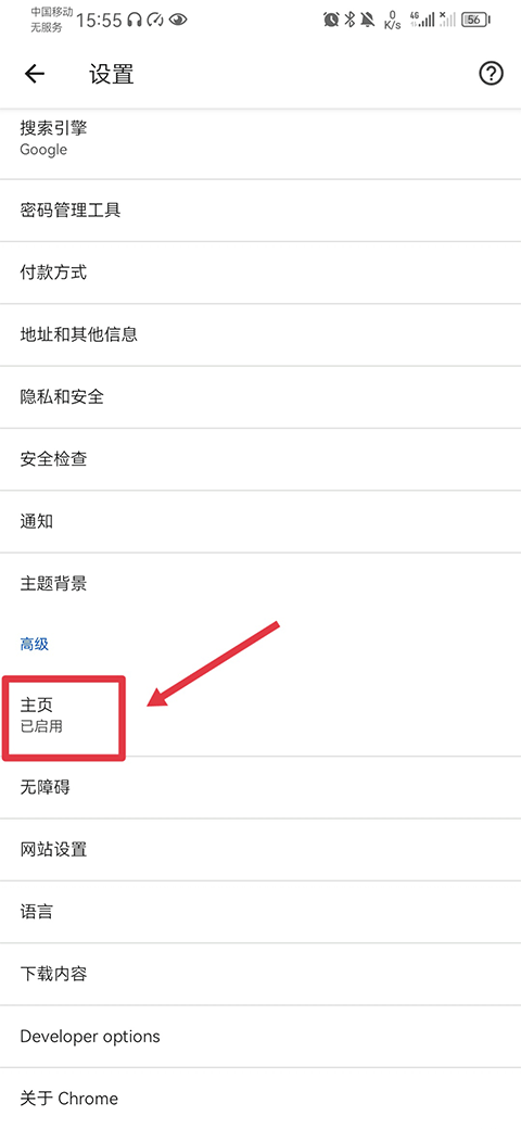 谷歌金丝雀浏览器
