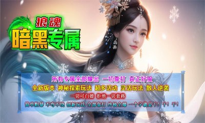 狼魂暗黑专属截图3