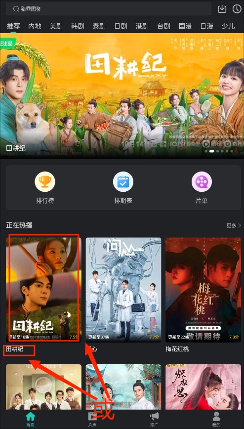 海鸥影评正版