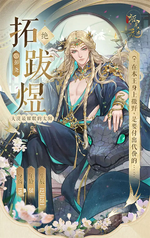 摇光录乱世公主官网