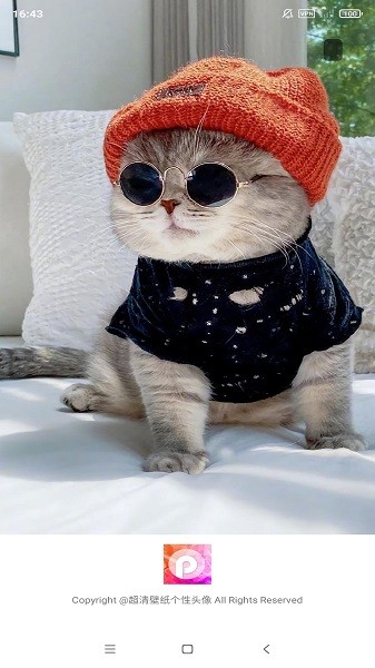 安卓壁纸大师截图1