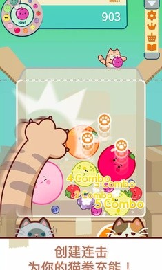 猫和西瓜截图4